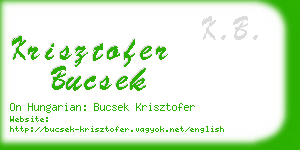 krisztofer bucsek business card